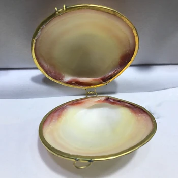 Aqumotic Divoké Clam Zdobí Craft In Korean-style Úložný Přírodní Shell Vzoru Severské Šperky Pozadí Fotografie Rekvizity