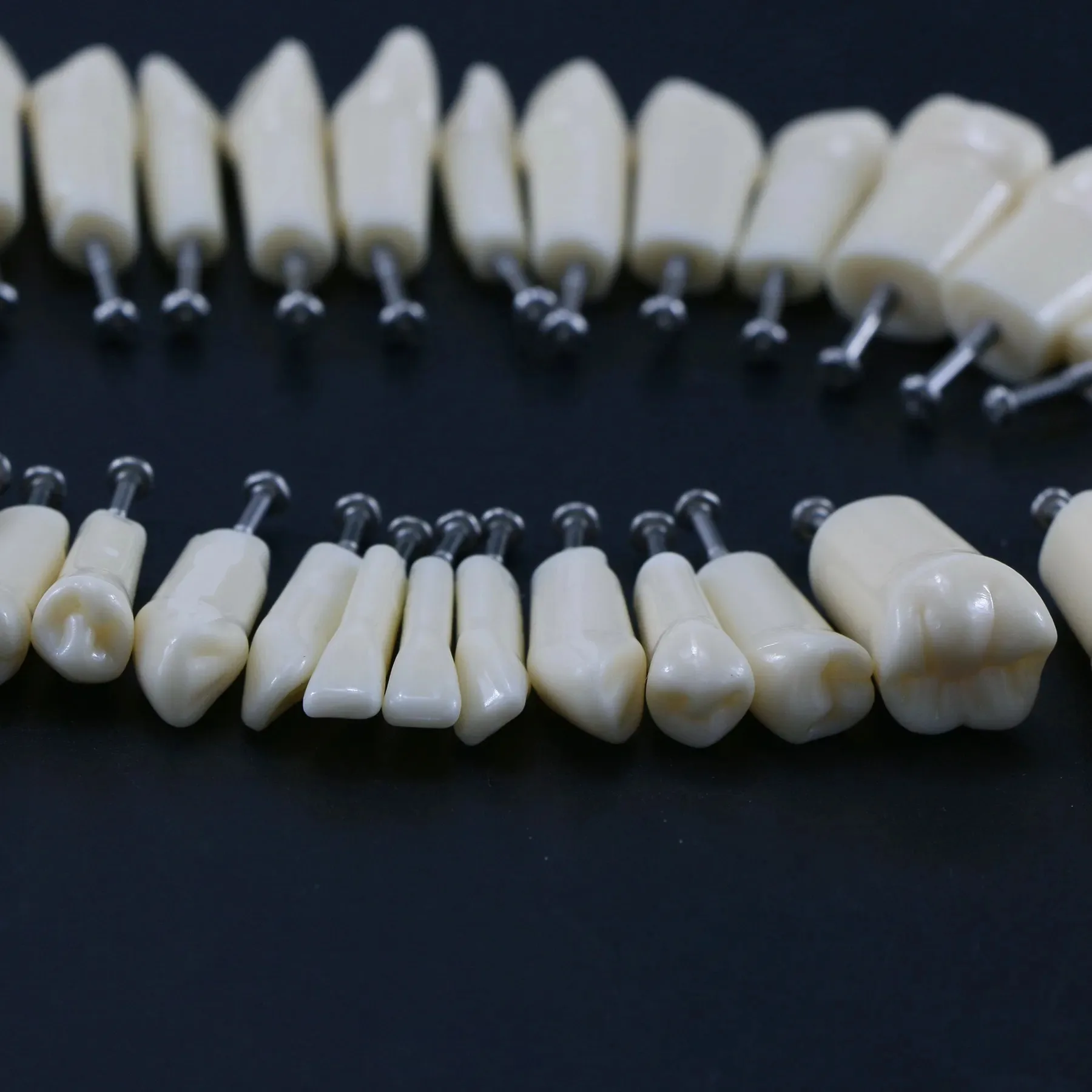 Zubní Zuby Model Šroub v Náhradní Zuby Kompatibilní NISSIN 200 Typ dentální učení modelu Školení Demo Pryskyřice Materiál - 2