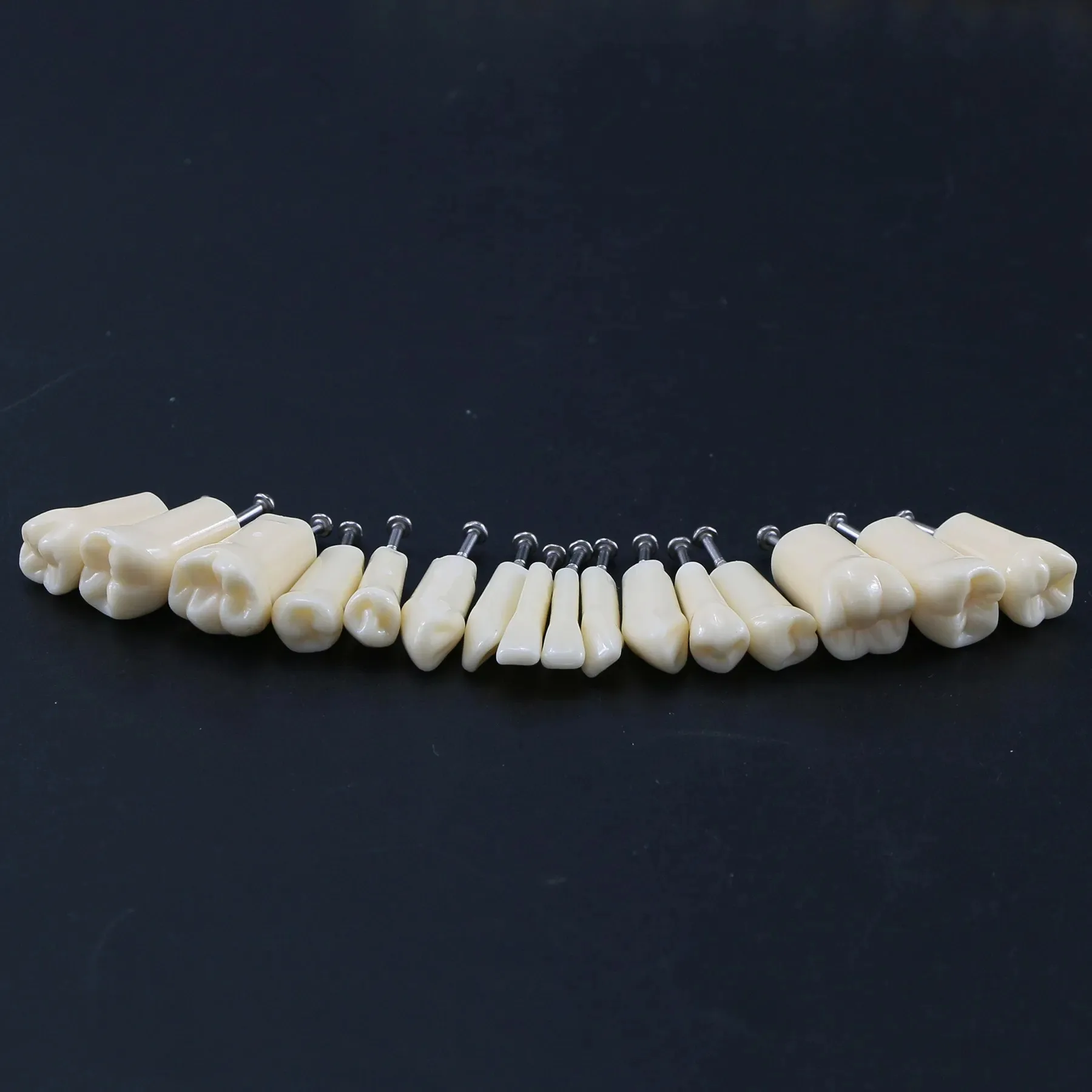 Zubní Zuby Model Šroub v Náhradní Zuby Kompatibilní NISSIN 200 Typ dentální učení modelu Školení Demo Pryskyřice Materiál - 3