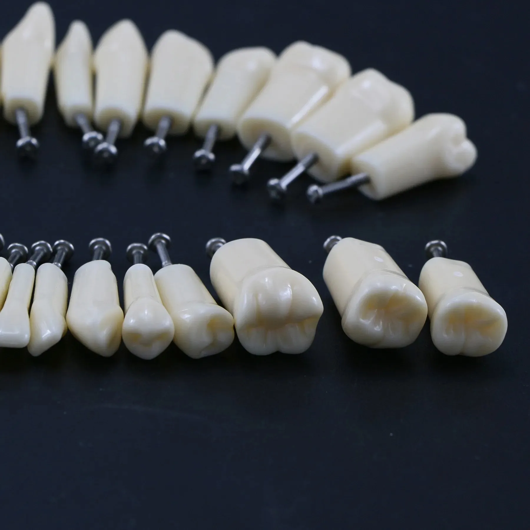 Zubní Zuby Model Šroub v Náhradní Zuby Kompatibilní NISSIN 200 Typ dentální učení modelu Školení Demo Pryskyřice Materiál - 4